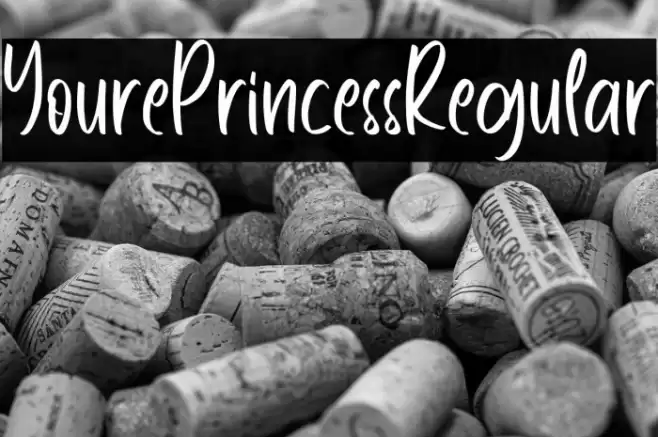 YourePrincessRegular Font examples