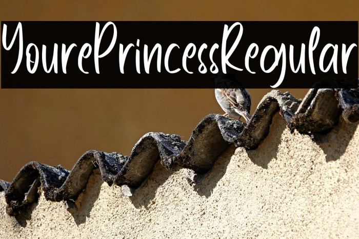 YourePrincessRegular Example 2