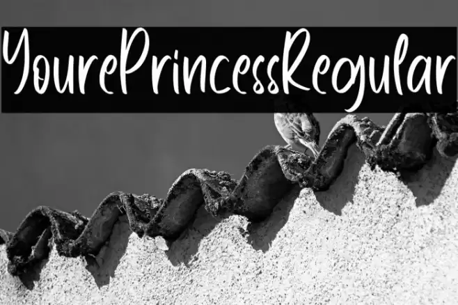 YourePrincessRegular Font examples