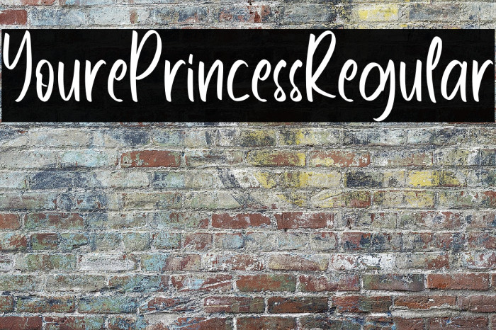 YourePrincessRegular Example 3