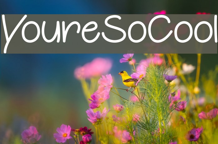 YoureSoCool Font examples