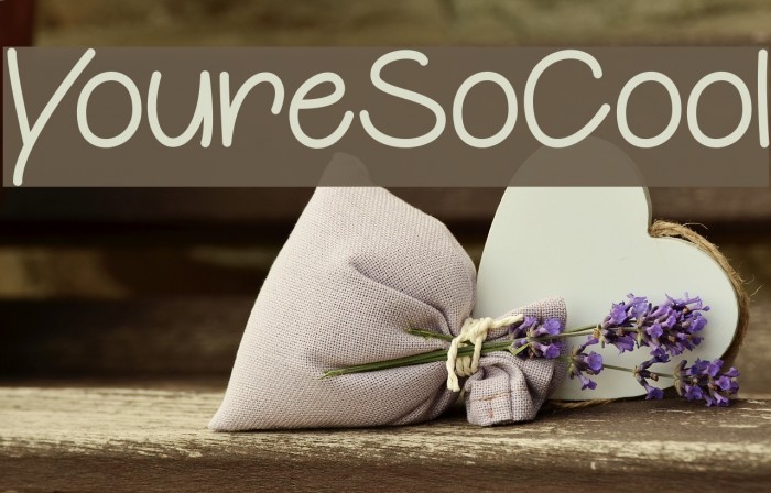 YoureSoCool Font examples