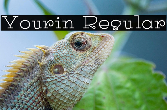 Yourin Regular Example 3