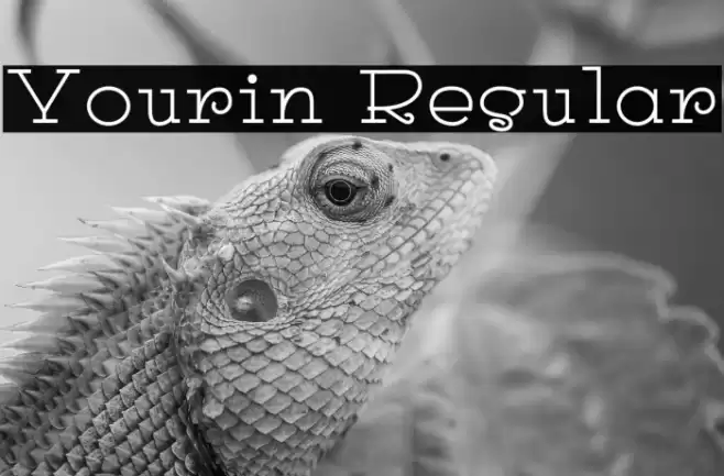 Yourin Regular フォント examples