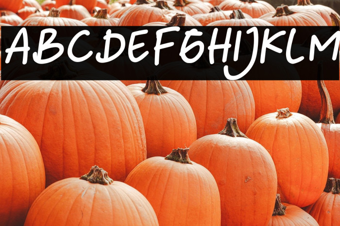 Yournotes-BoldItalic Example 3