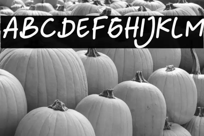 Yournotes-BoldItalic Font examples