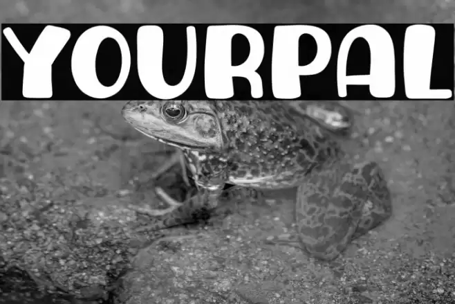 Yourpal Fuentes examples