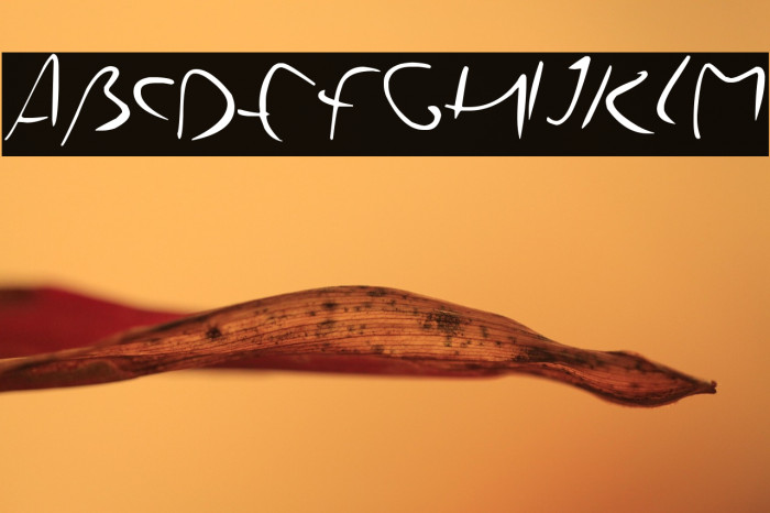 YoursTruly Example 1