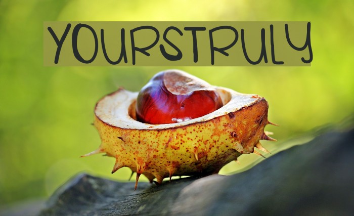 YoursTruly Font examples