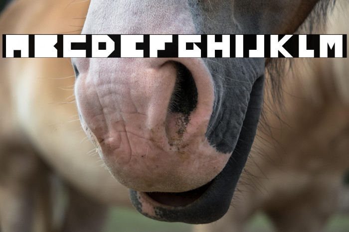 Yourself Regular Example 3