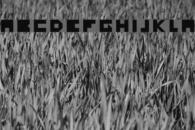 Yourself Regular Font examples