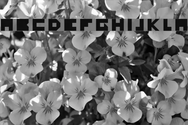 Yourself Regular Font examples