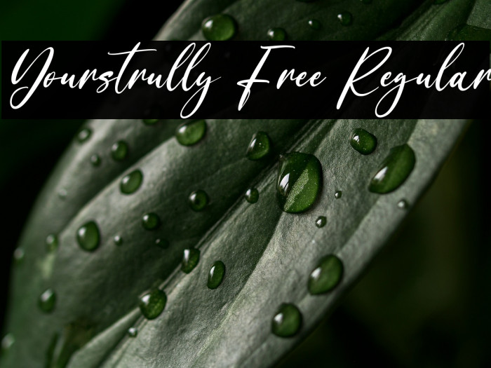 Yourstrully Free Regular Example 3