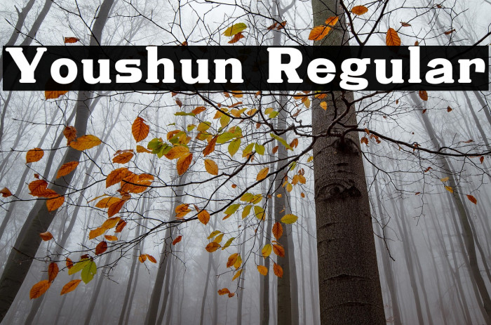 Youshun Regular Example 1