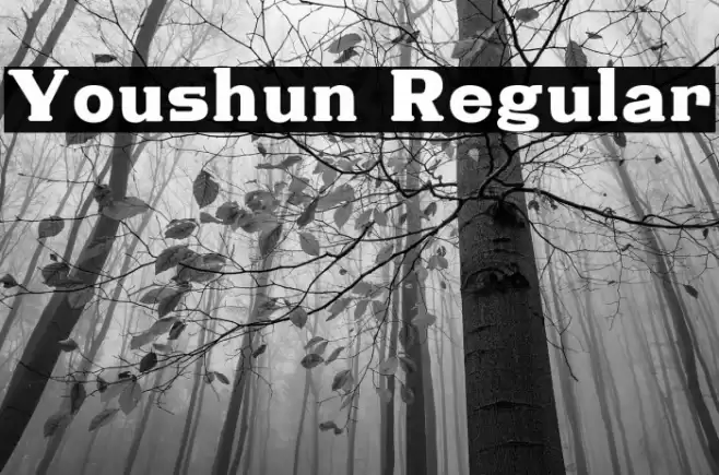Youshun Regular Schriftart examples