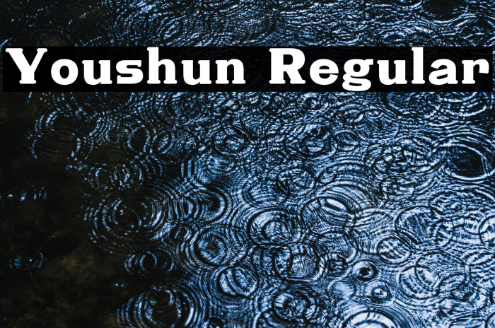 Youshun Regular Example 2