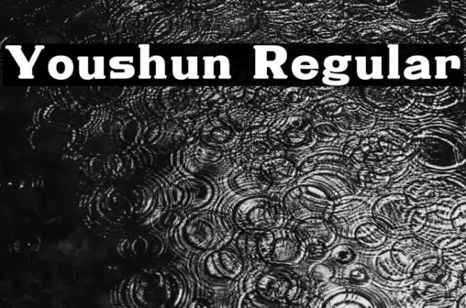 Youshun Regular Schriftart examples