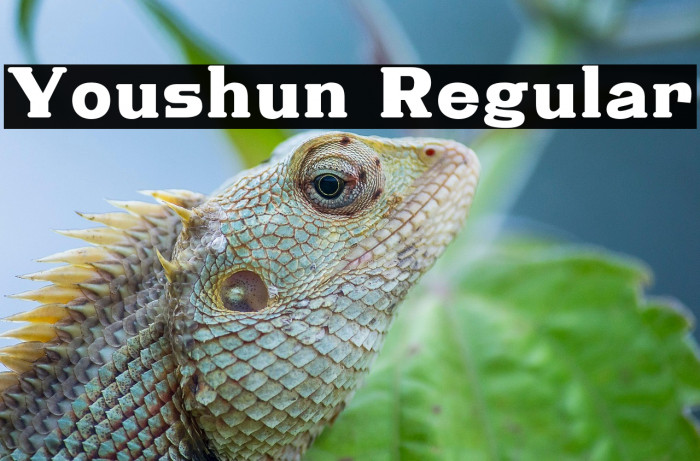 Youshun Regular Example 3