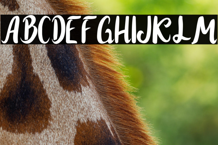 Youth Boys Example 2