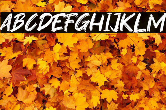 Youth Power Example 1