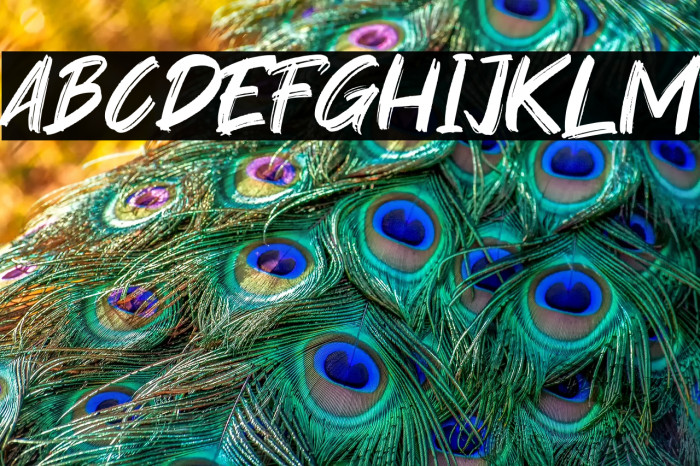 Youth Power Example 3