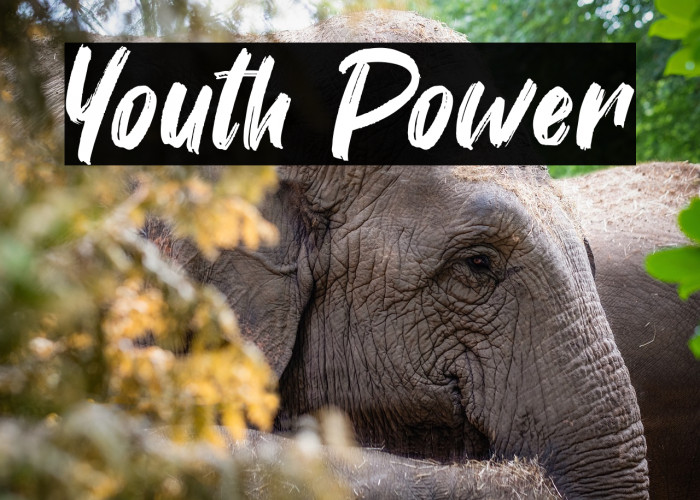 Youth Power Example 1