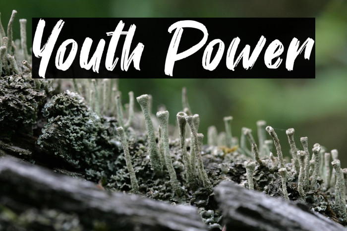 Youth Power Example 3