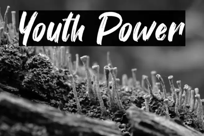 Youth Power Font examples