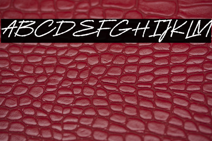 Youth Richfield Demo Version Example 1