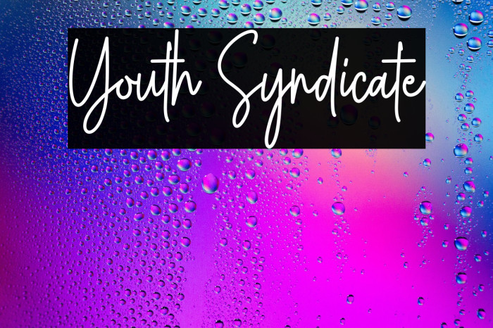Youth Syndicate Example 1