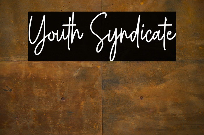 Youth Syndicate Example 2