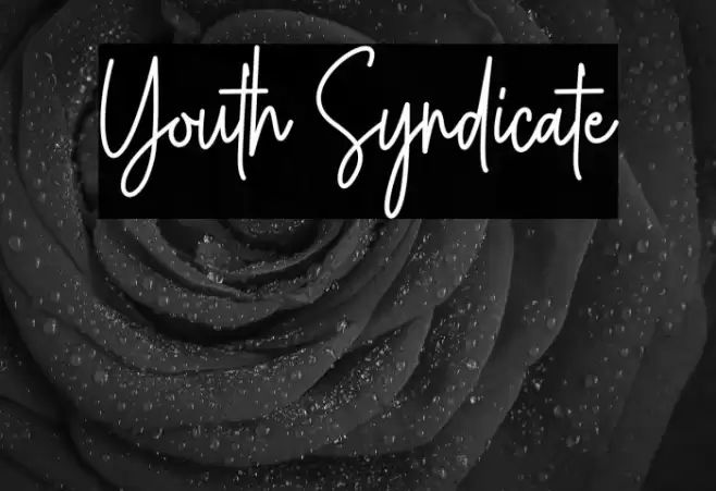 Youth Syndicate Font examples