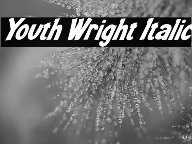 Youth Wright Italic Font examples