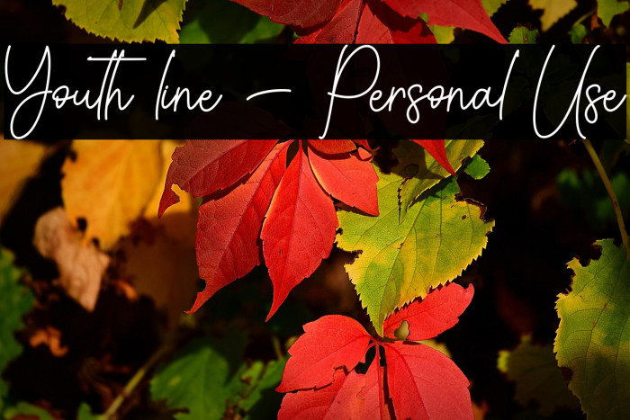 Youth line - Personal Use Example 2