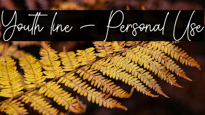 Youth line - Personal Use Example 3