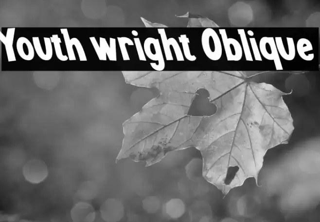 Youth wright Oblique Font examples