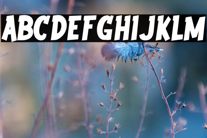 Youth wright Example 1