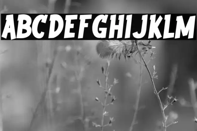 Youth wright Font examples