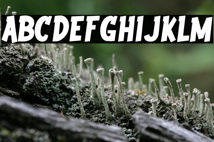 Youth wright Example 2