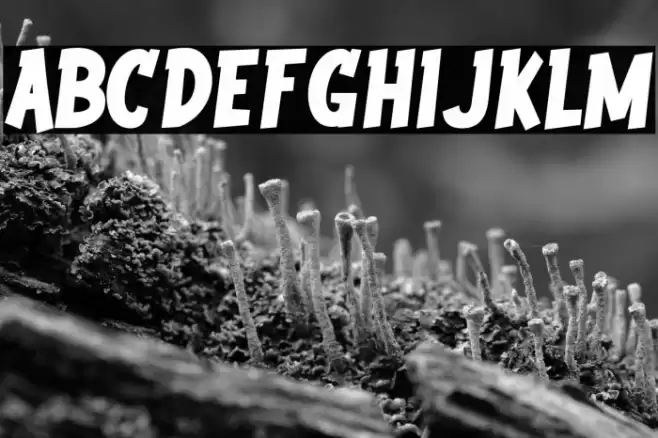 Youth wright Font examples