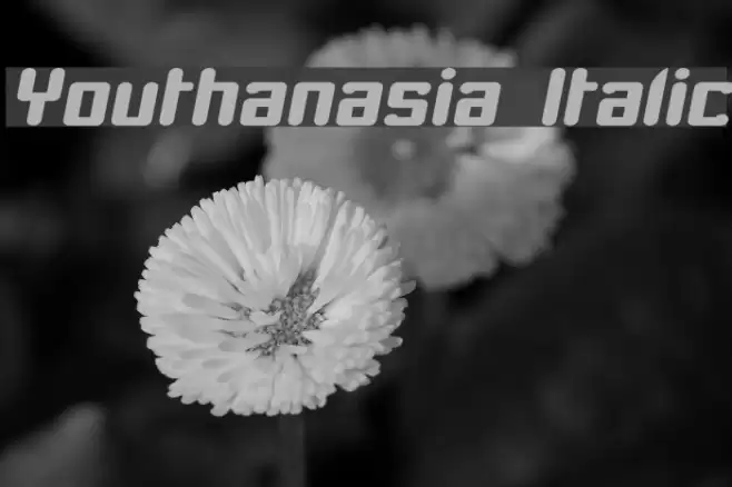Youthanasia Italic Font examples
