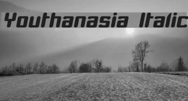 Youthanasia Italic Font examples