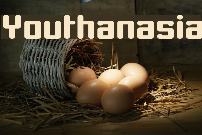 Youthanasia Font examples