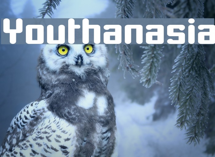 Youthanasia Font examples