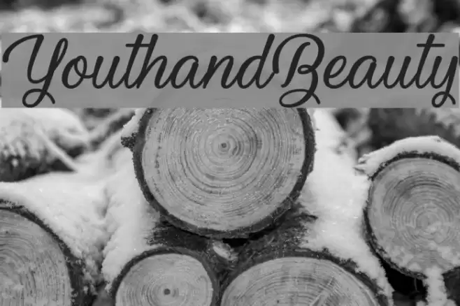 YouthandBeauty Font examples