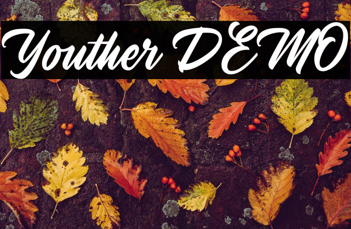 YoutherDEMO Example 3