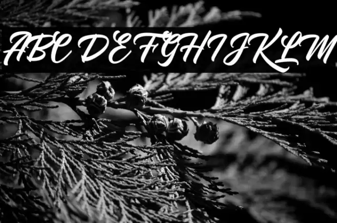 YoutherScript Font examples