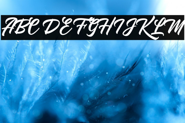 YoutherScript Example 3