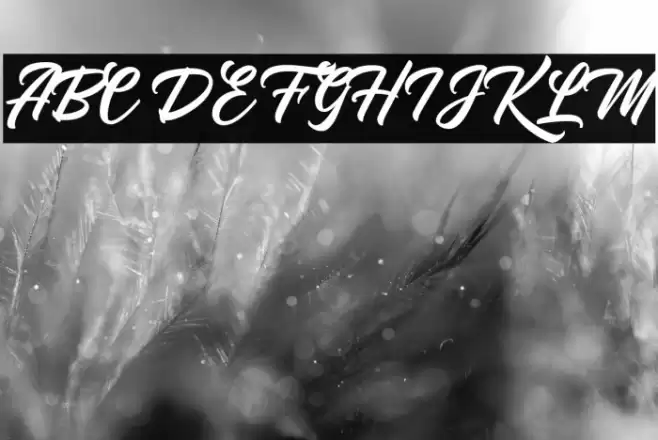 YoutherScript Font examples