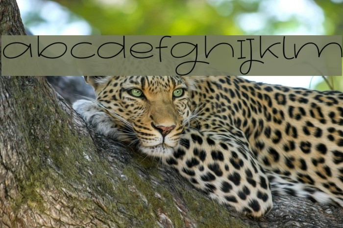 Youthing October Fourteen Example 3